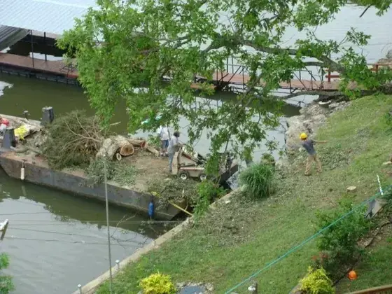 The Colt Tree Service crew clearing brush along a canal bank