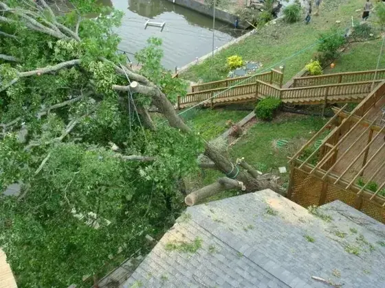 A large fallen limb across a deck and roof, Lake of the Ozarks visible behind