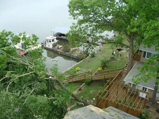 A big fallen tree stretched across a lakefront yard after a storm