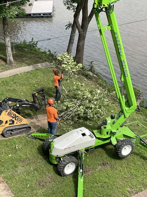 A Colt Tree Service ground crew clearing cut branches beside the lake with a mini skid loader and spider lift